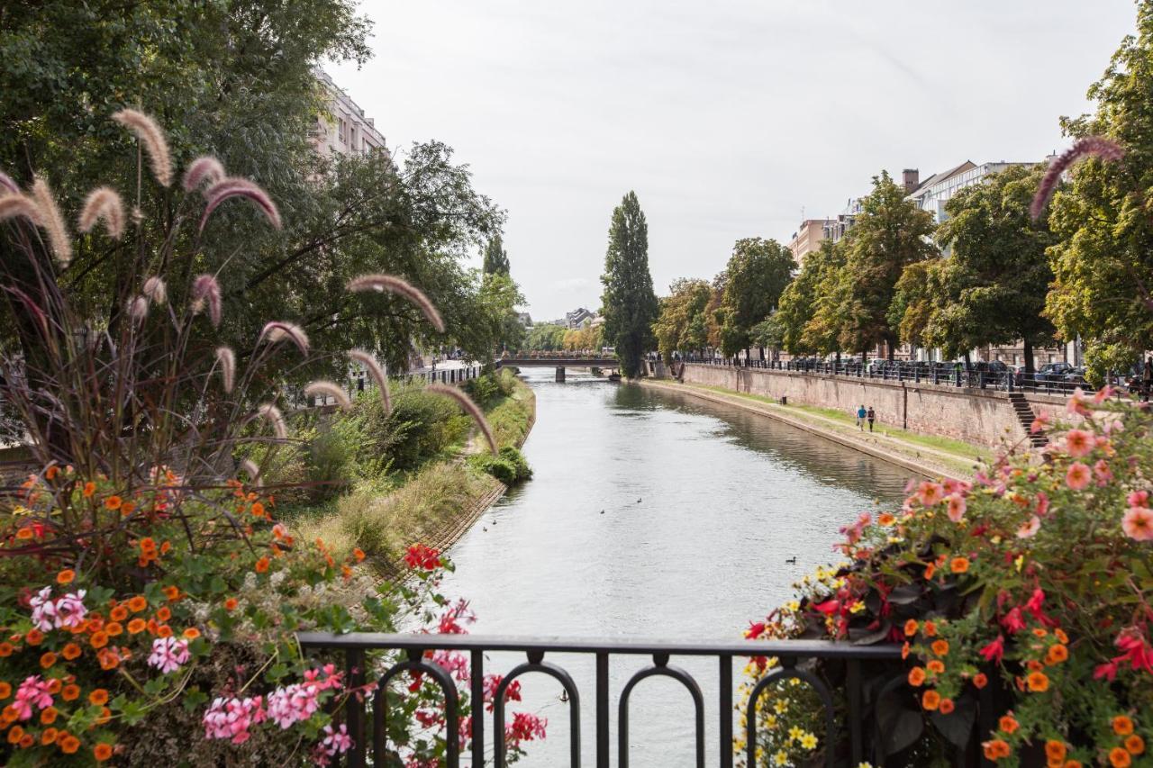 L'Appart Du Quai Avec Terrasse Strasbourg Ngoại thất bức ảnh