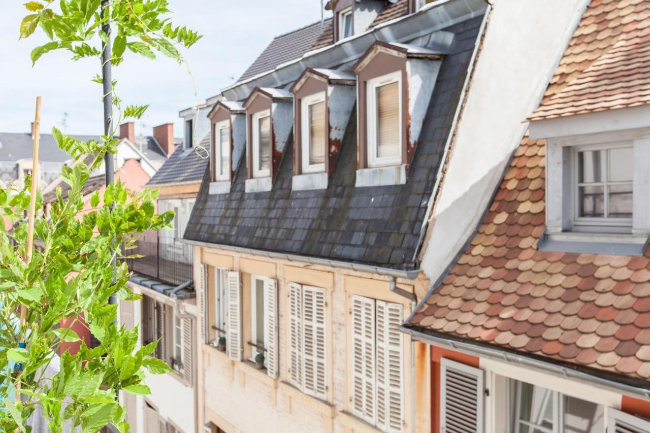 L'Appart Du Quai Avec Terrasse Strasbourg Ngoại thất bức ảnh